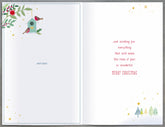 Snow Globe with Robins and Bird House Sister & Brother In Law Christmas Card
